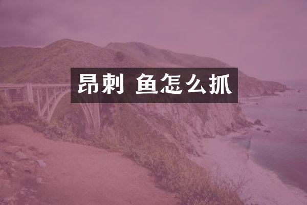 昂刺 鱼怎么抓