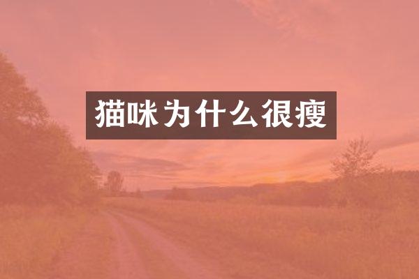 猫咪为什么很瘦