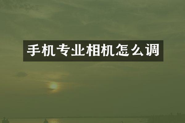 手机专业相机怎么调