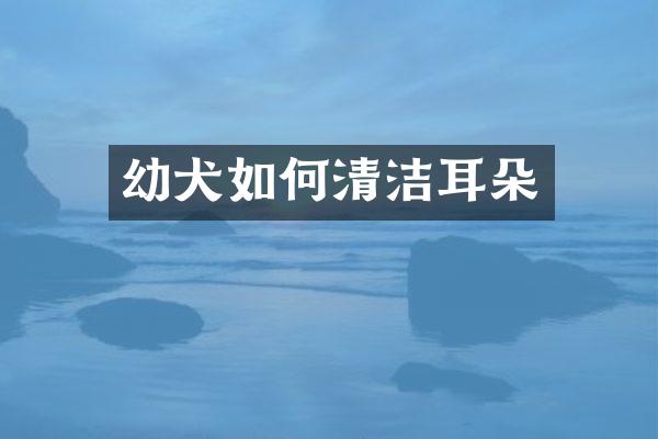 幼犬如何清洁耳朵