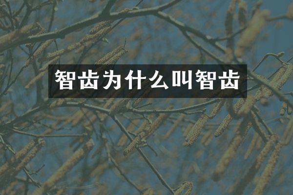 智齿为什么叫智齿