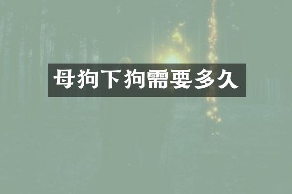 母狗下狗需要多久