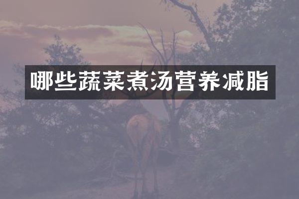 哪些蔬菜煮汤营养减脂