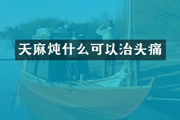 天麻炖什么可以治头痛