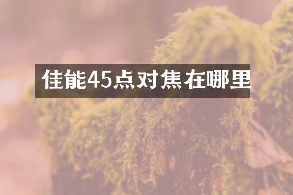 佳能45点对焦在哪里