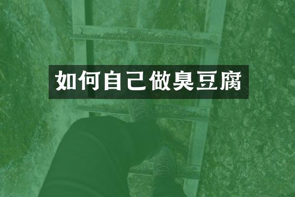 如何自己做臭豆腐