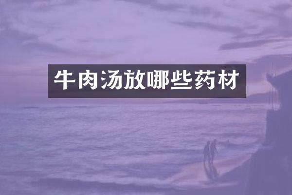 牛肉汤放哪些药材