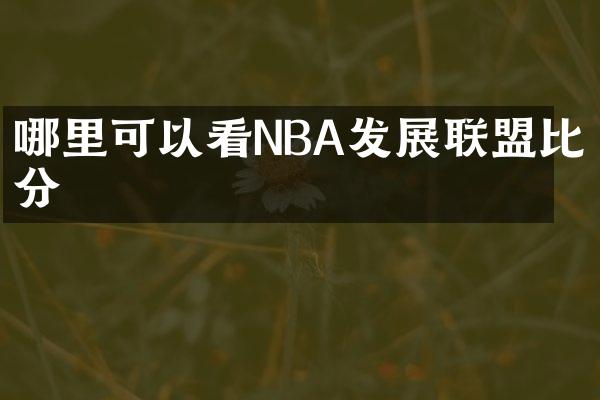 哪里可以看NBA发展联盟比分