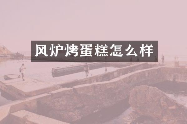 风炉烤蛋糕怎么样