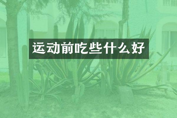 运动前吃些什么好