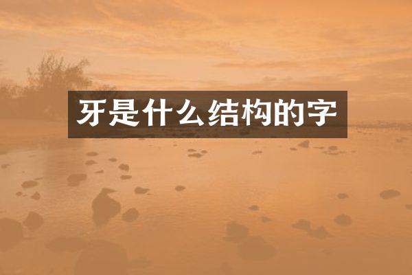 牙是什么结构的字