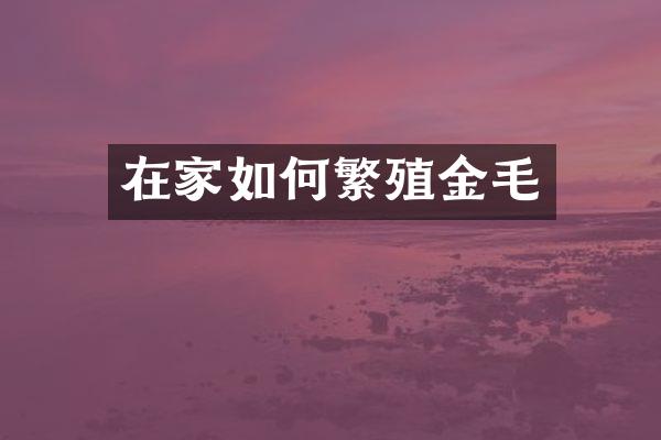 在家如何繁殖金毛