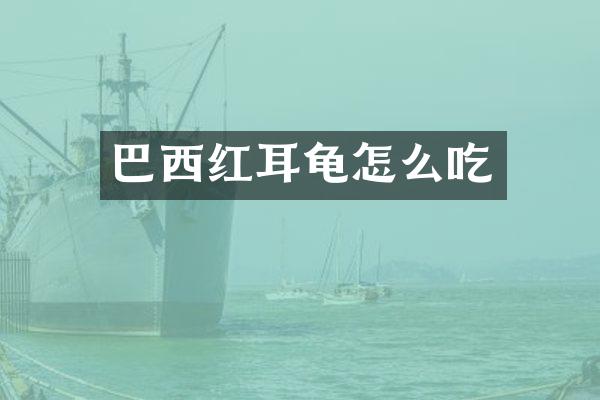 巴西红耳龟怎么吃