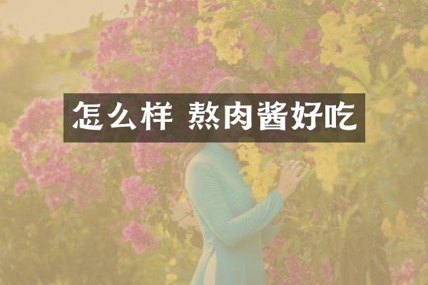 怎么样 熬肉酱好吃