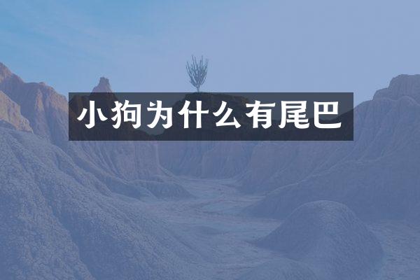 小狗为什么有尾巴