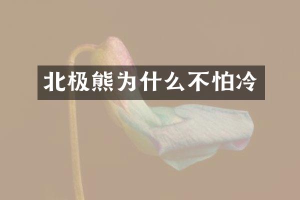 北极熊为什么不怕冷