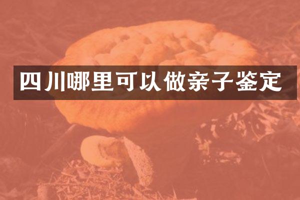 四川哪里可以做亲子鉴定