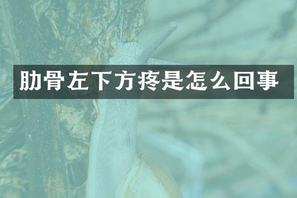 肋骨左下方疼是怎么回事