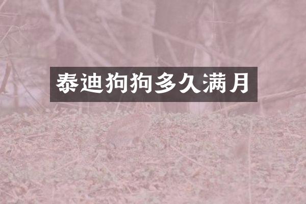 泰迪狗狗多久满月