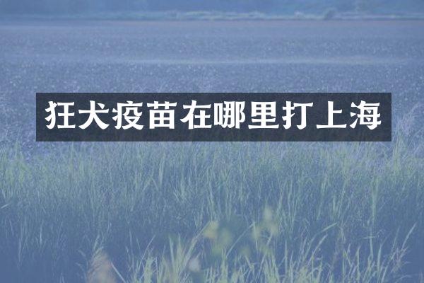 狂犬疫苗在哪里打上海