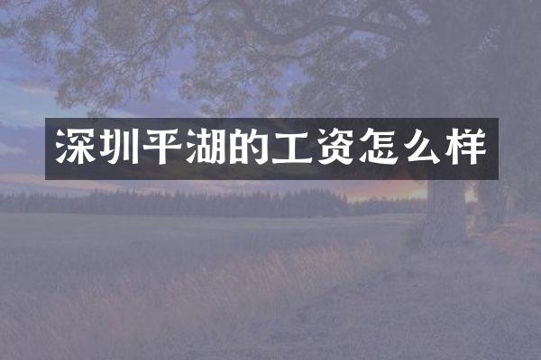 深圳平湖的工资怎么样