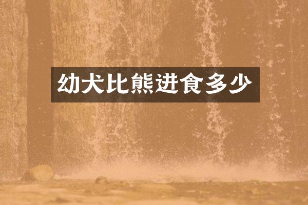 幼犬比熊进食多少