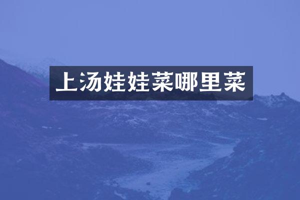 上汤娃娃菜哪里菜