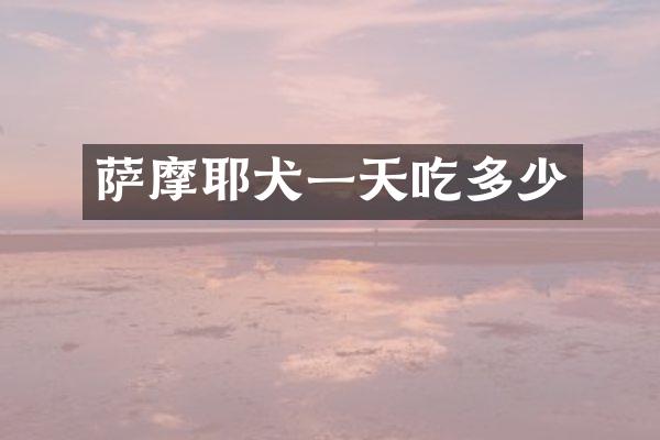 萨摩耶犬一天吃多少