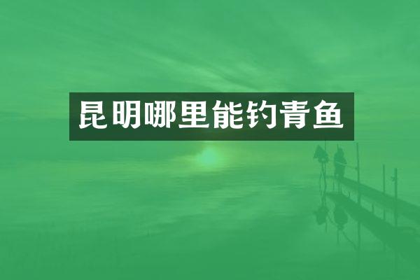 昆明哪里能钓青鱼
