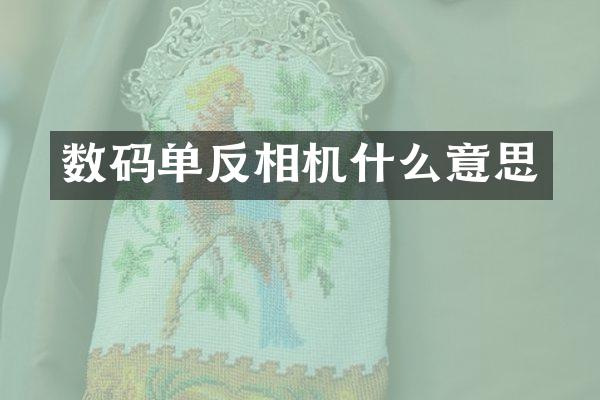 数码单反相机什么意思