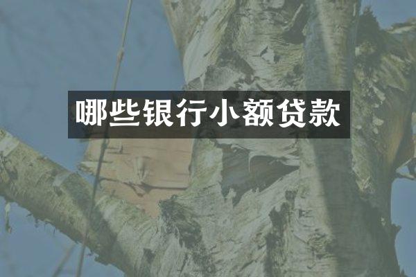 哪些银行小额贷款