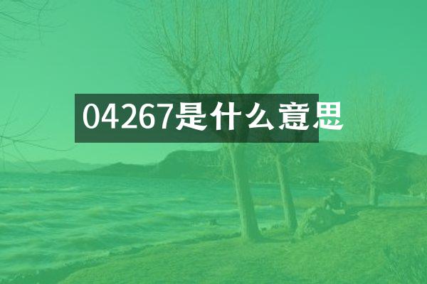 04267是什么意思