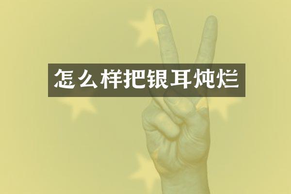 怎么样把银耳炖烂