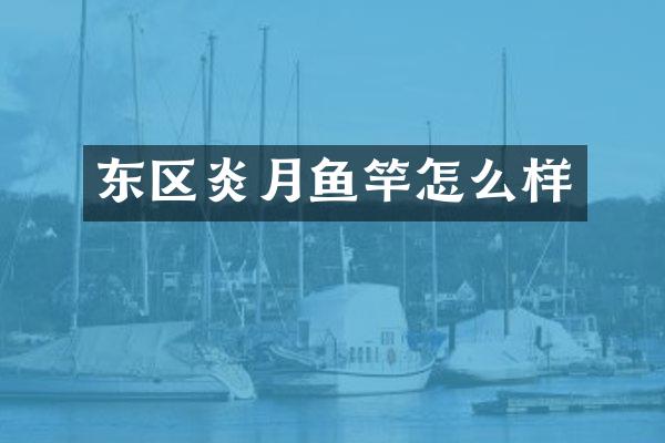 东区炎月鱼竿怎么样