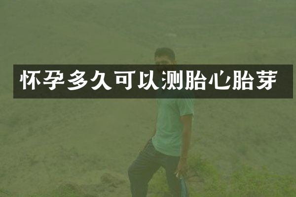 怀孕多久可以测胎心胎芽