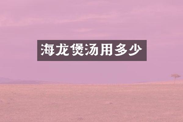 海龙煲汤用多少