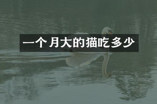 一个月大的猫吃多少