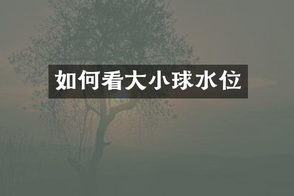 如何看大小球水位