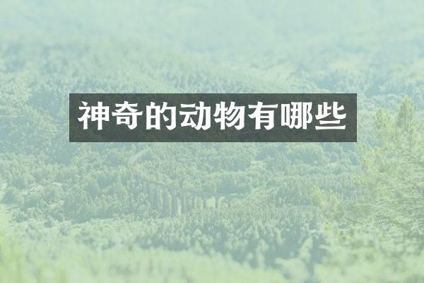 神奇的动物有哪些