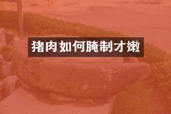 猪肉如何腌制才嫩