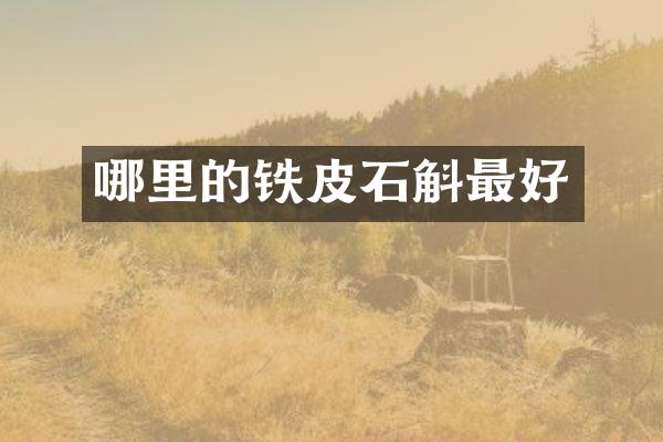 哪里的铁皮石斛最好