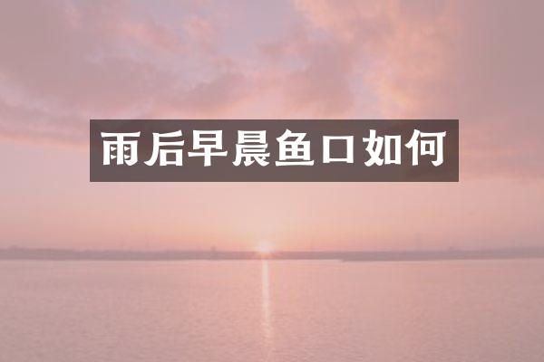 雨后早晨鱼口如何