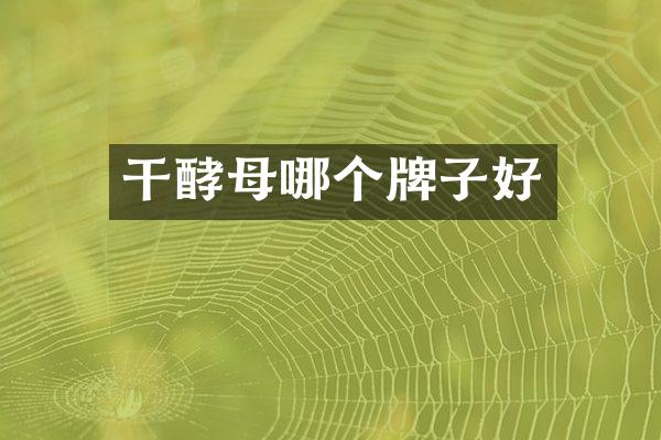 干酵母哪个牌子好