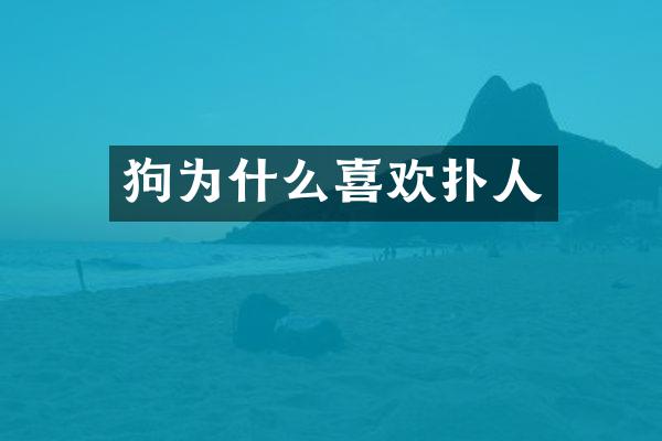 狗为什么喜欢扑人