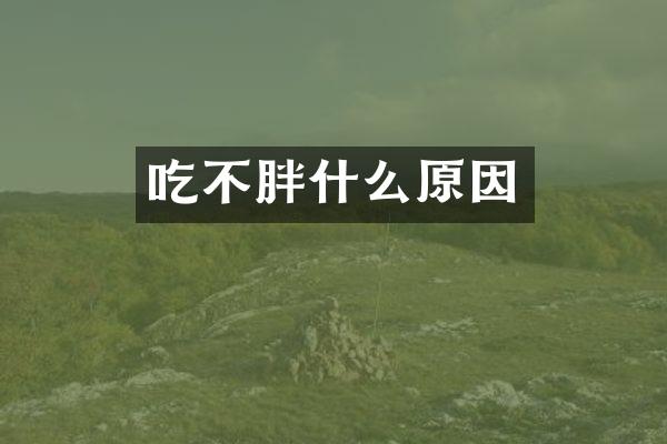 吃不胖什么原因