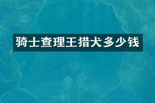 骑士查理王猎犬多少钱