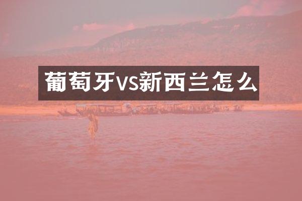 葡萄牙vs新西兰怎么