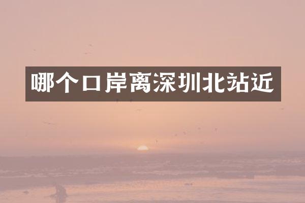哪个口岸离深圳北站近