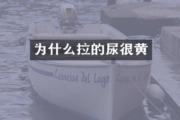 为什么拉的尿很黄