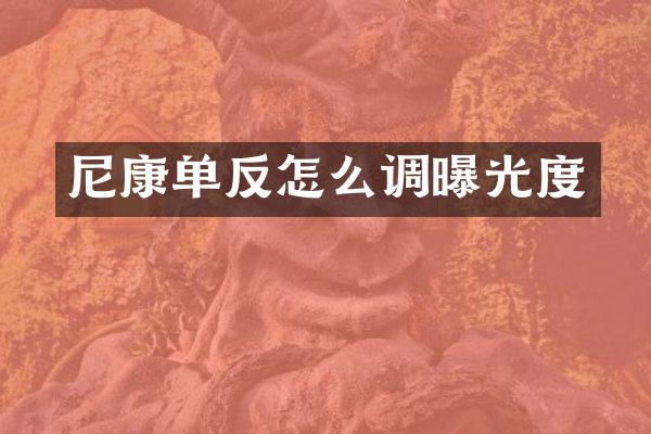尼康单反怎么调曝光度